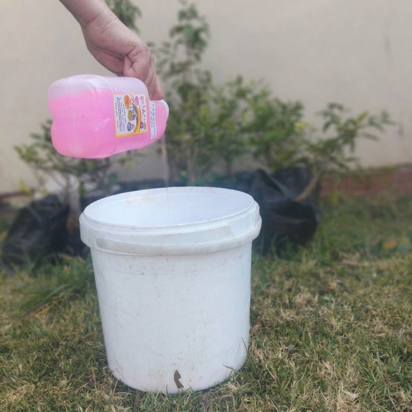 Car Wash & Wax - 1 Litre Bottle | High-Foam Vehicle Shampoo
