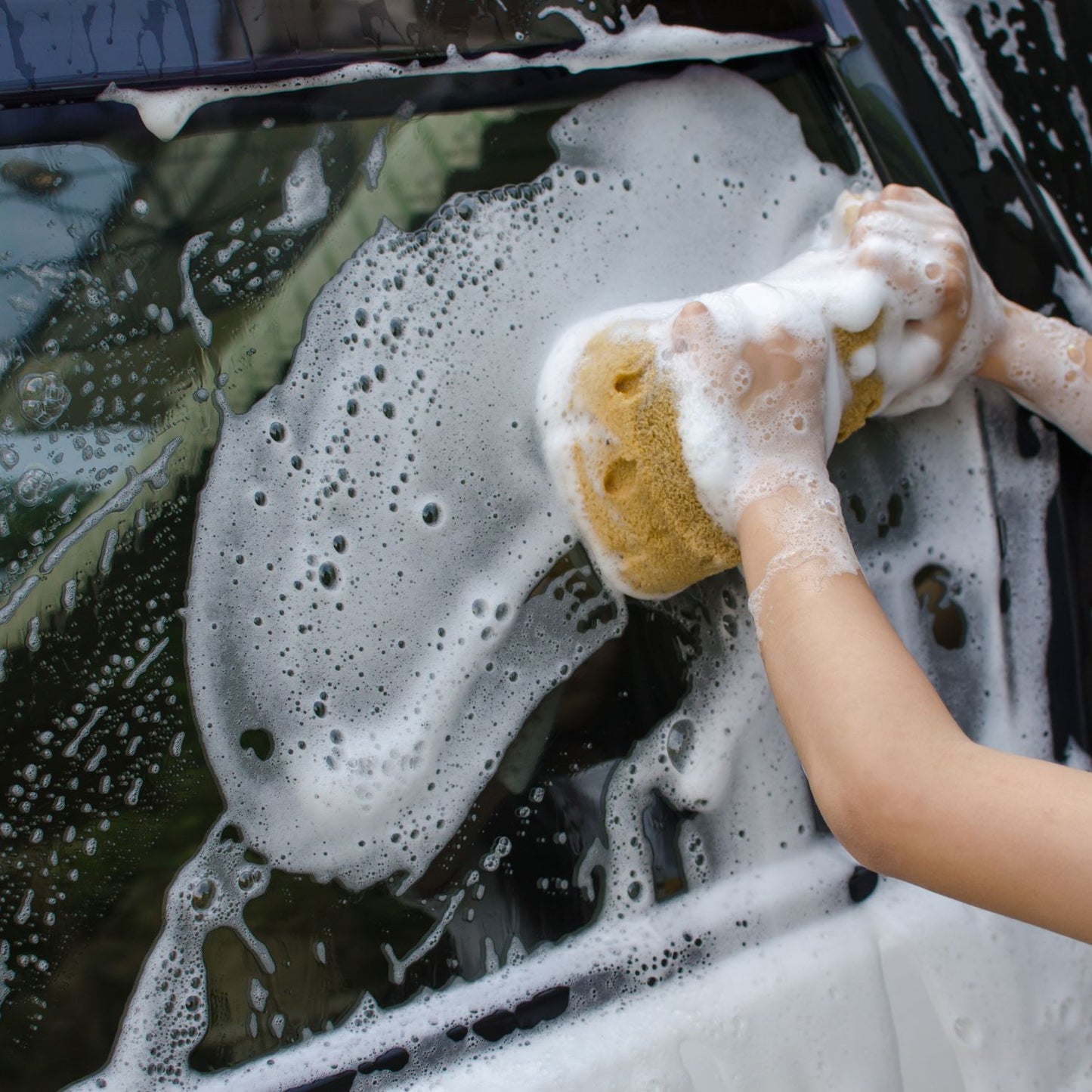 Car Wash & Wax - 1 Litre Bottle | High-Foam Vehicle Shampoo